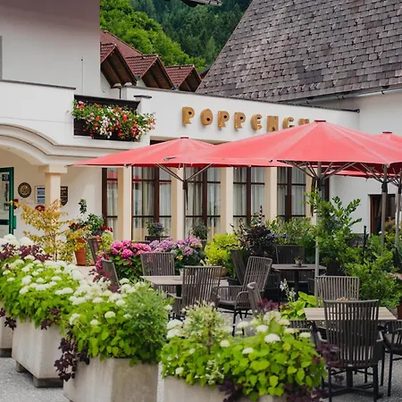 Relax- & Wanderhotel Poppengut Hotel Hinterstoder